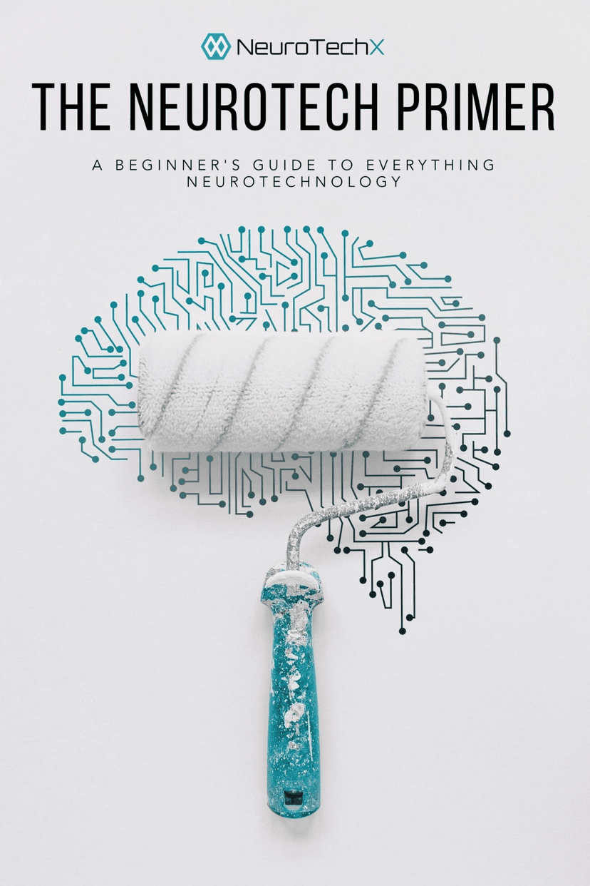 NeuroTechX Book